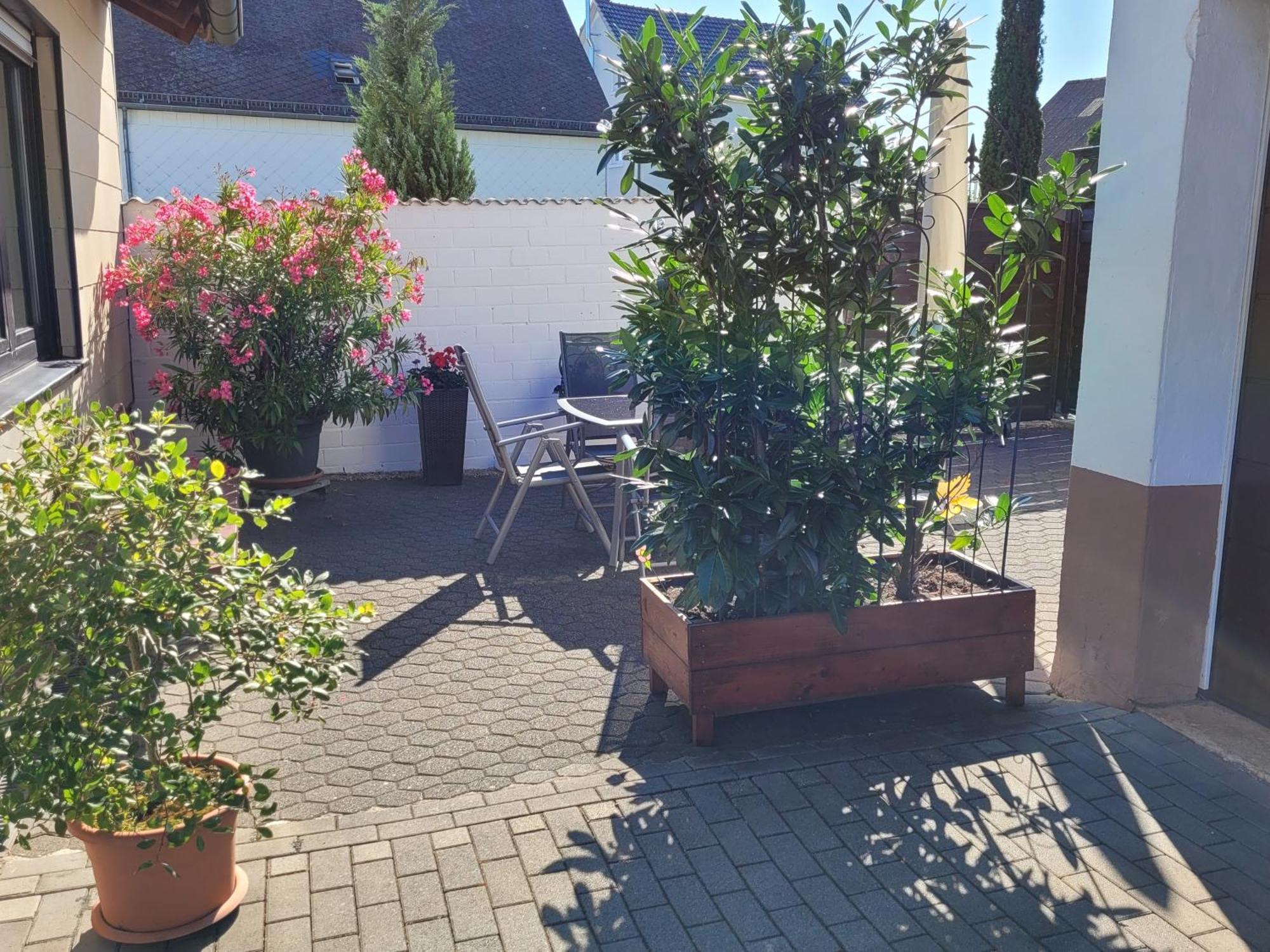 Eifelferienhaus Thome Lissendorf 외부 사진